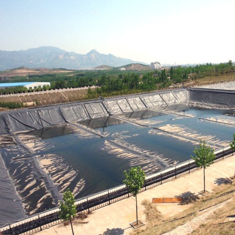 Geomembrane Pond Liner 0.5mm 1mm 1.5mm 2mm HDPE LDPE Lldpe PVC EVA Geomembrane Pond Liner