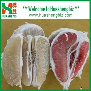 Quality Sweet honey pomelo wholesale