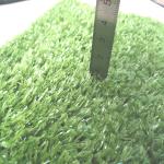 Green Indoor Fake Grass Installed Around Airport Apartment Gas Station