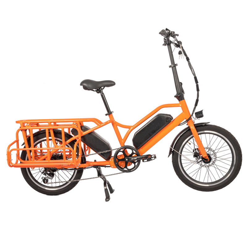 Family E-cargo Electric Bike with 20" Wheels 80km Range and Two 36V 13AH Batteries