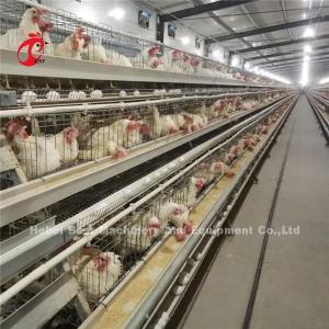 Quality Modern H Type Poultry Automatic Chicken Cage Equipment 20 Years Lifespan Ada wholesale