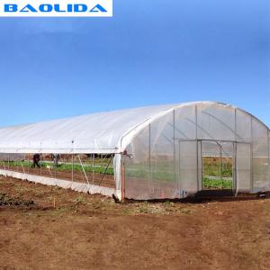 Quality Modern Tunnel Plastic Greenhouse For Tropical Climate Plastic Covering wholesale