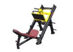 45° Angle Gym Fitness Equipment Hammer Strength Eco Friendly Integrated