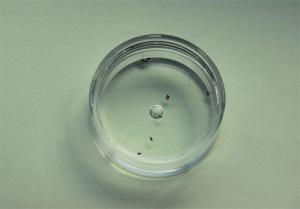 Quality CNC Micro Precision Machining Medical Parts High Accuracy For Medical Equipments wholesale