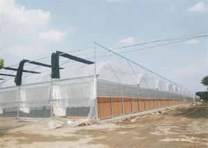 Quality Film / NFT Cover Material Plastic Film Greenhouse Good Insulation Performance wholesale