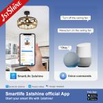 1stshine Ceiling Fan with Light Cooling Air Light and Southeast Asian Style Hand