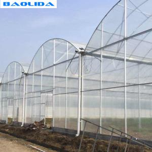Quality Clear Plastic Grow Tunnel / Agriculture Farm Plastic Tunnel Greenhouse wholesale