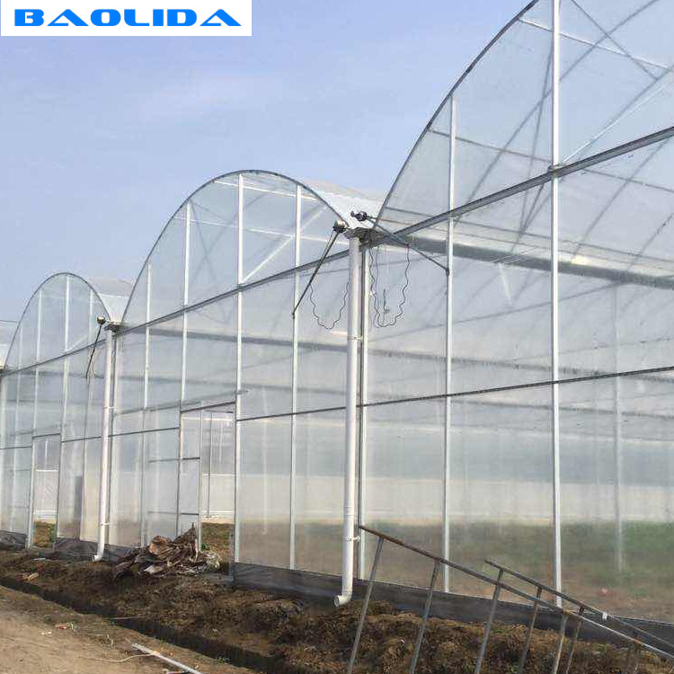Agricultural Polyethylene Foil Greenhouse Hot Galvanized Steel Structure Multi Span Greenhouse