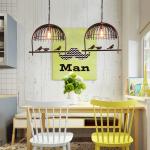 Creative Vintage Plant Pendant Lights Bird Cage Industrial Pendant Lamp(WH-VP