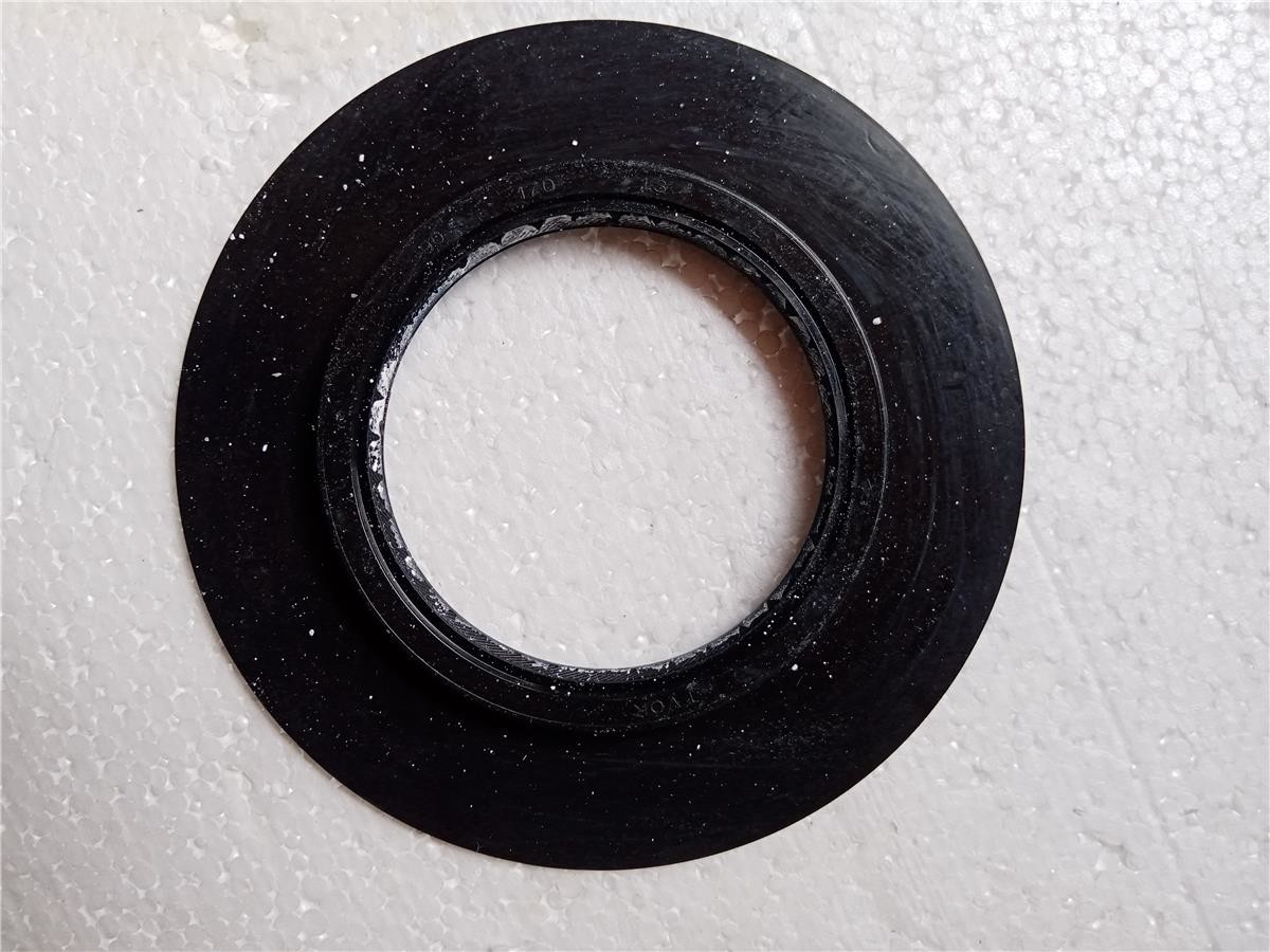 Rear Crankshaft Oil Seal 50209083