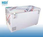 Minus 65C Ultra Low Temp Chest Freezer 300 Ltr