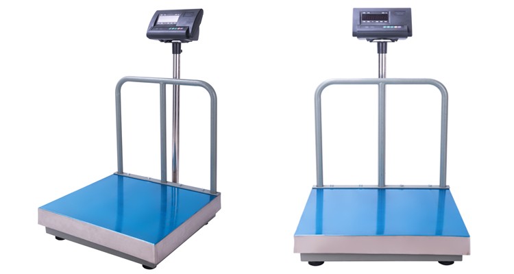 CHTCS-PS Waterproof Digital Back Rail 500kg Platform Bench Scale