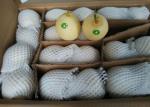 Delicious Oriental Pear