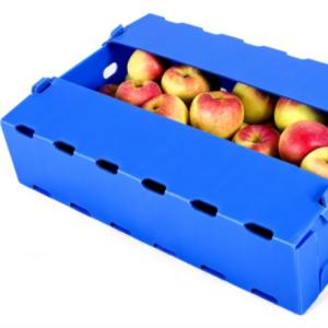 Quality Blue Coroplast Apple Fruit Packaging Box Polypropylene Moisture Resistant wholesale