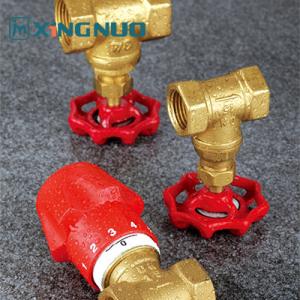 Corrosion Resistant Stop Gate Valve 200 PSI Pressure Rating Durable NPT BSP Thread