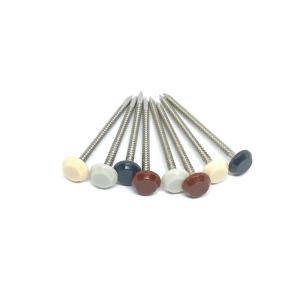 Quality 2.5X50MM Annular Groove Plastic Head Nails wholesale