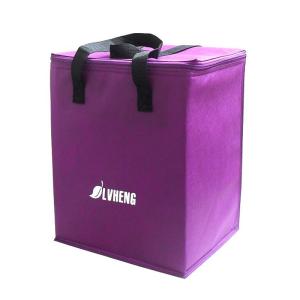 Quality Non Woven Wine 20x15x20cm 80gsm 2mm EPE Insulated Cooler Bag wholesale