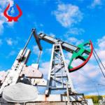 Oil Drilling PAC Polyanionic Cellulose Manufacturer 9004-32-4 CAS