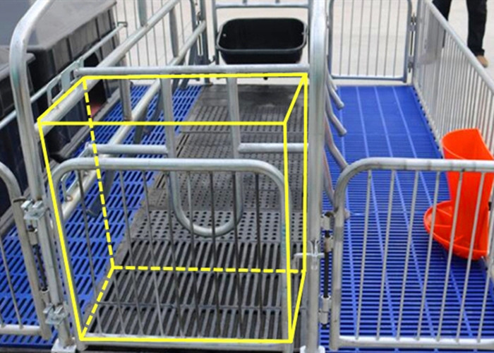 PVC Panel Fence Pig Farrowing Crate / Pig Farrowing Pen Over All Hot Dip Galvanization