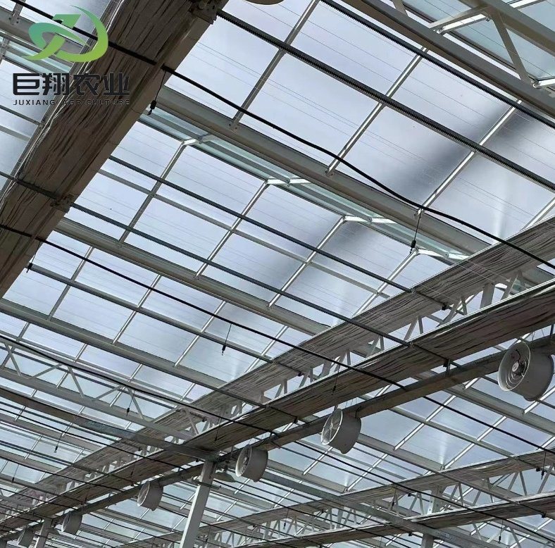Juxiang Leafy Vegetable Container House