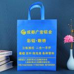 Environmental Friendly Handled PP Non Woven Packaging Bags For Supermarket