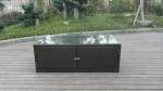 rattan sofa set
