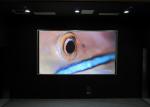 1000cd/M2 2.5mm SMD2121 Fixed LED Display 160x160mm Module Size