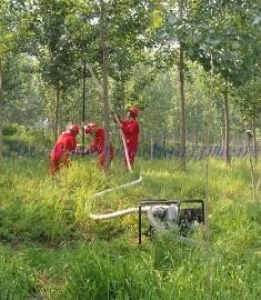 Quality TSP-Flush40 drilling rig for farmland area wholesale
