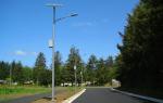 15m Outdoor Street Lamp Post For Residential Lighting