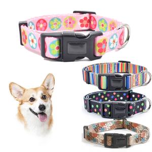 Quality Fashionable Nylon Buckle Dog Collar S M L Breakaway Cat Collars Customized wholesale