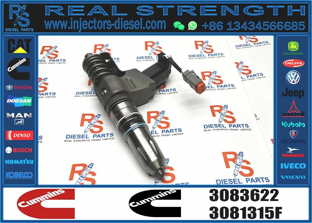 Nine Brand Diesel Hot Sale High Quality Common Rail Injector 3081315F 4307516 6087807