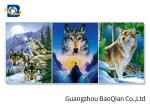 30X40cm In Stock Diversify Waterproof 3D Lenticular Flip / Lenticular Photo