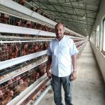 3 Tiers 4 Tiers Layer Chicken Battery Cage In Poultry Farm A Type