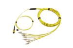 12 Fibre Singlemode Mpo To Lc Breakout Cable ISO9001 Approval