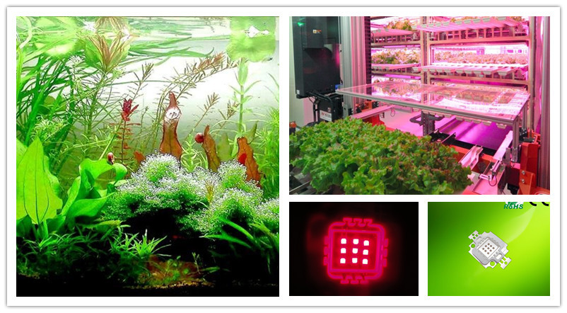 10w red led application.jpg