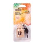 Hanging Rear View Flavor Scent 5ml Liquid Car Air Freshener