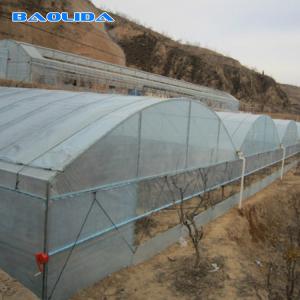 Quality Vegetable Multiple Tunnel Plastic Film Sheet Covering Multi Span Greenhouse wholesale