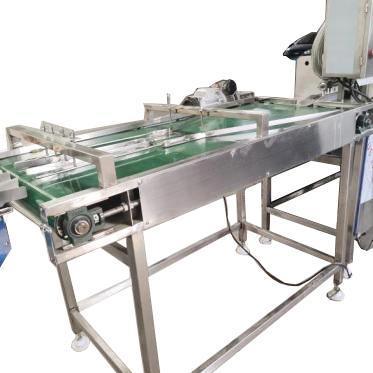 Liquid Egg Breaking Production Line / Liquid Egg Process Plant