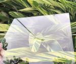 Low Iron/Clear/Customized Size Reflective Glass Colored/Tinted Dark Blue/Green