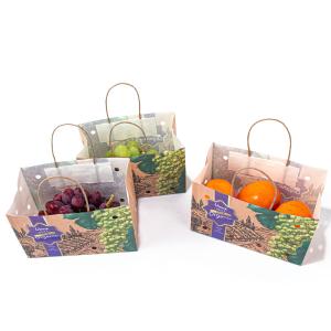 Quality ODM Disposable Small Recycled Paper Bags With Logo Paper Twist Rope wholesale