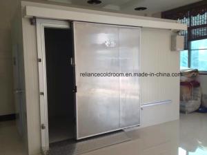 Quality Temperature -35c to 20c PU100981010 Flower Cold Storage Room for Fresh Flowers wholesale