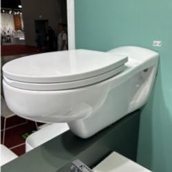 Quality Wall Hung Disabled Ceramic Toilet Set For Public And Private Restrooms wholesale