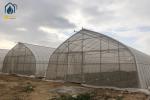Agricultural Plastic Polytunnel Greenhouse Single Span For Vegetable Fruits