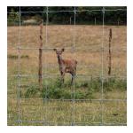 Farmland Fence Galvanized Fixed Knot Field Wire Hinge Fencing for Rural Panel