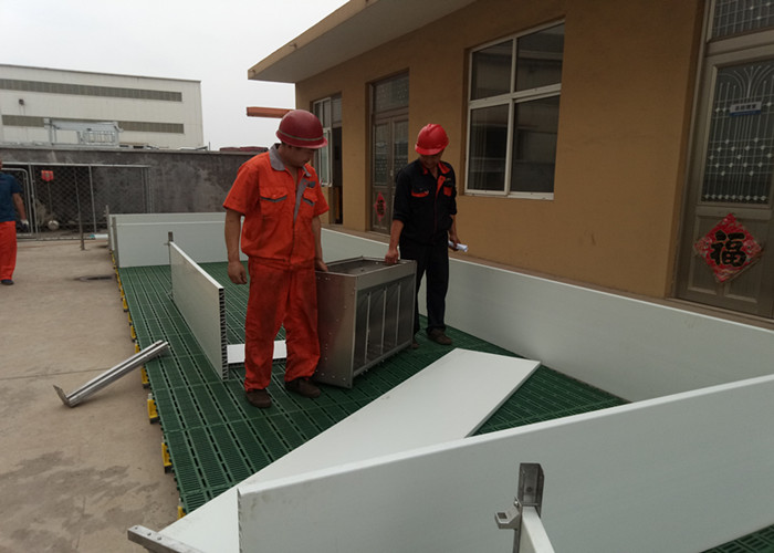 Customized Size Pig Farm Equipment Farrowing Crate For Sow / Piglet High Performance