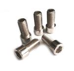 316 Stainless Steel Hex Head Bolt Cylinder Head Hexagon Socked Head Bolt