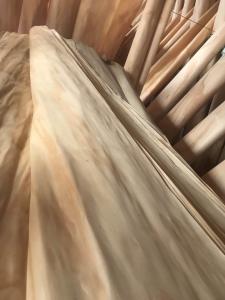 Quality Pine veneer wholesale
