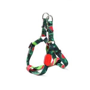 Quality Polyester Watermelon Dog Harness For Freedom Walker Front Walking wholesale