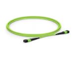 Female To Female OM5 MTP MPO Fiber Cable 12 Fibers Type B Plenum OFNP