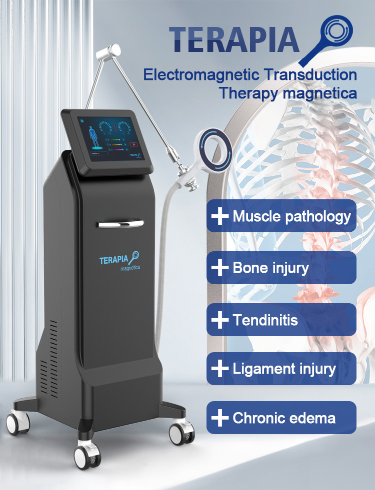 Pain Free Medical EMS Electrical Muscle Stimulation Machine For Chronic Joint Pain